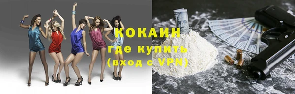 круглые Корсаков