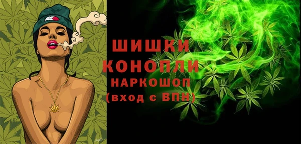 круглые Корсаков
