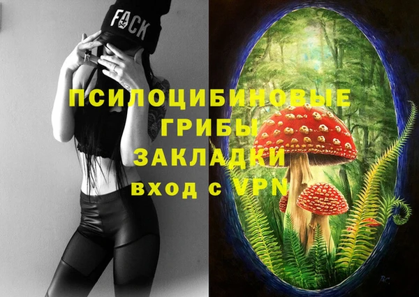 герыч Коряжма
