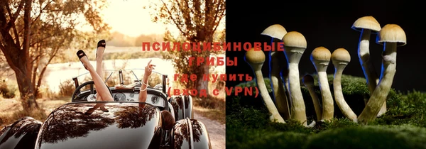 круглые Корсаков