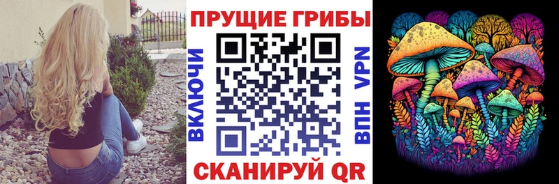 Галлюциногенные грибы Cubensis  хочу наркоту  Суздаль 